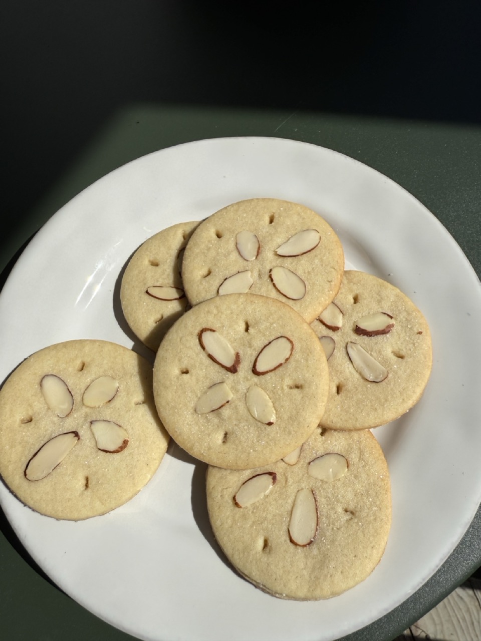 Sand Dollar Cookies